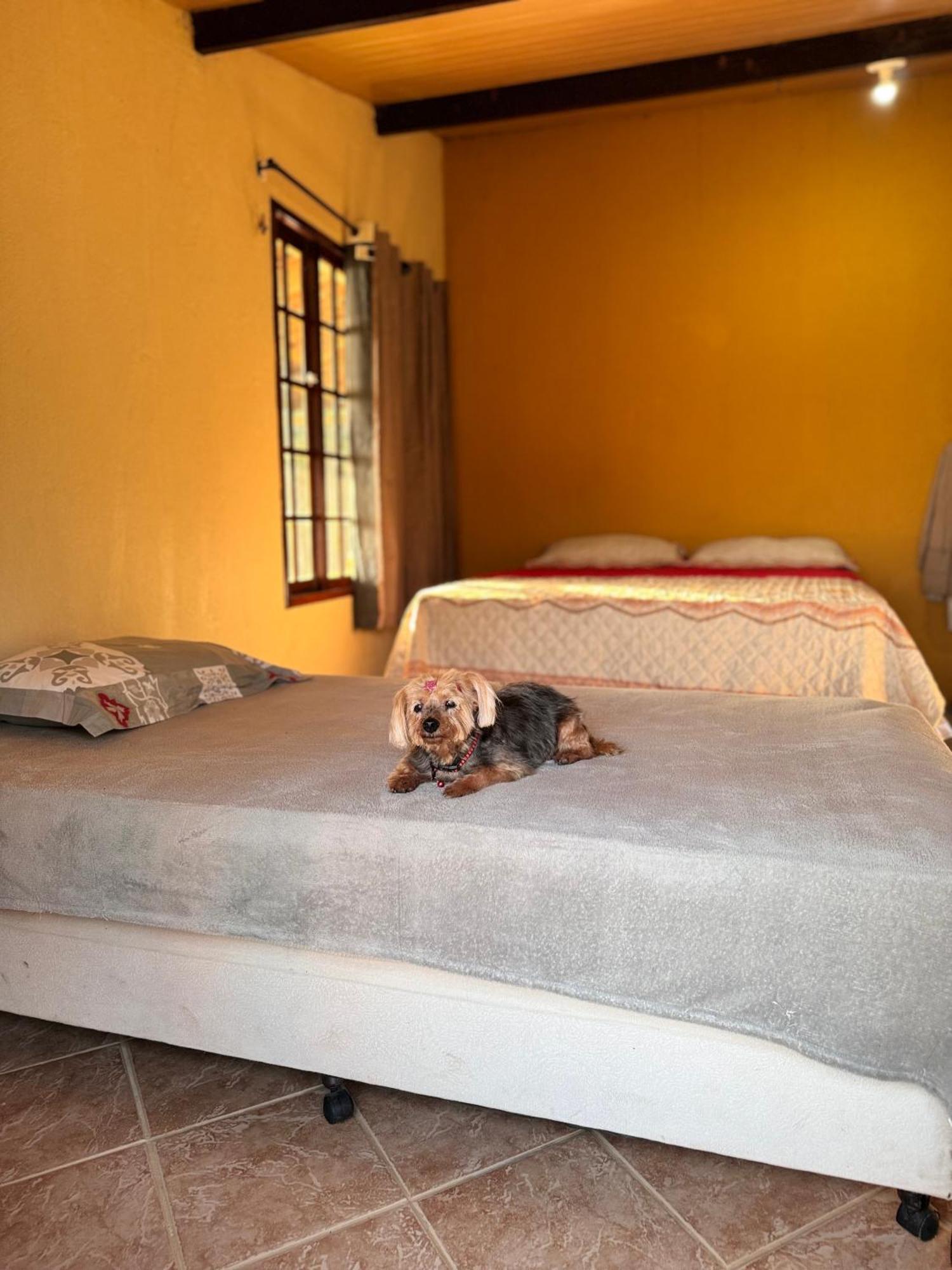 Chale Bella Vista Villa Guaramiranga Dış mekan fotoğraf